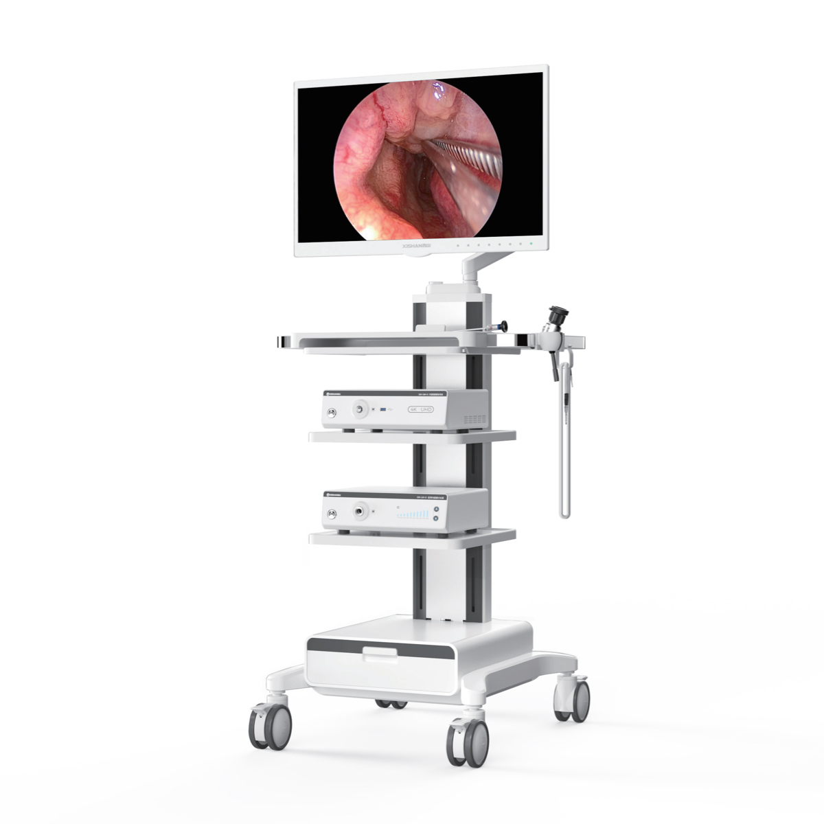 Sistema de endoscopia 4K UHD