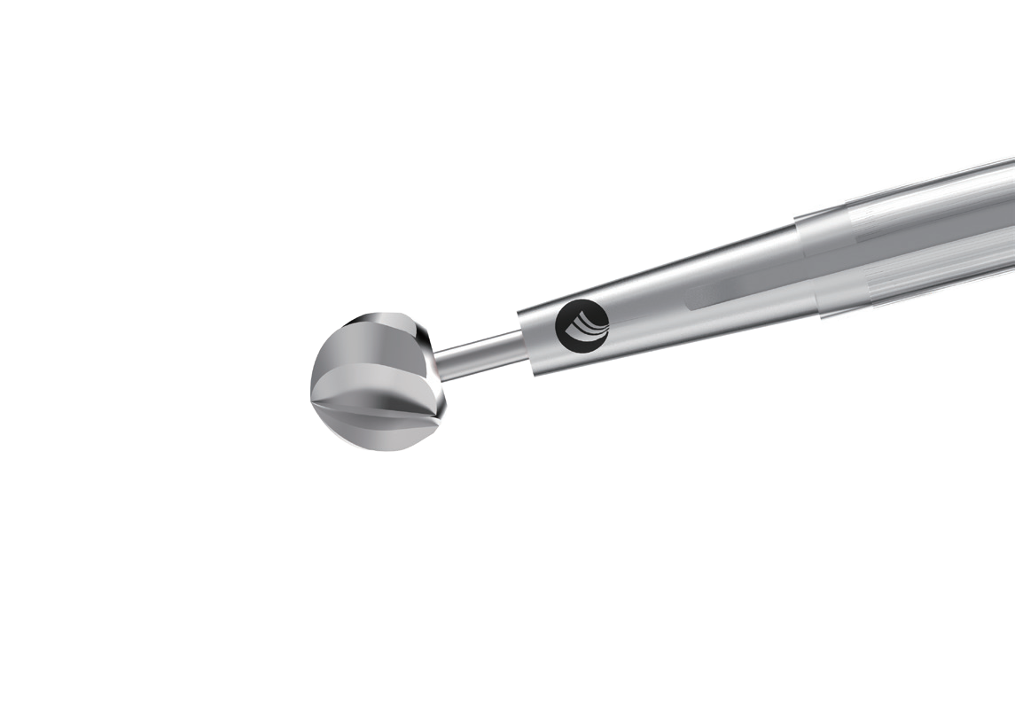 Base de cráneo trans-nasal burla