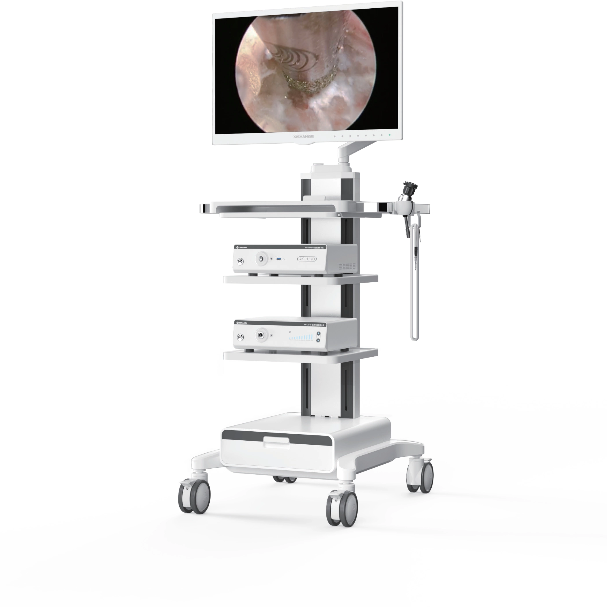 Sistema de endoscopia 4K UHD