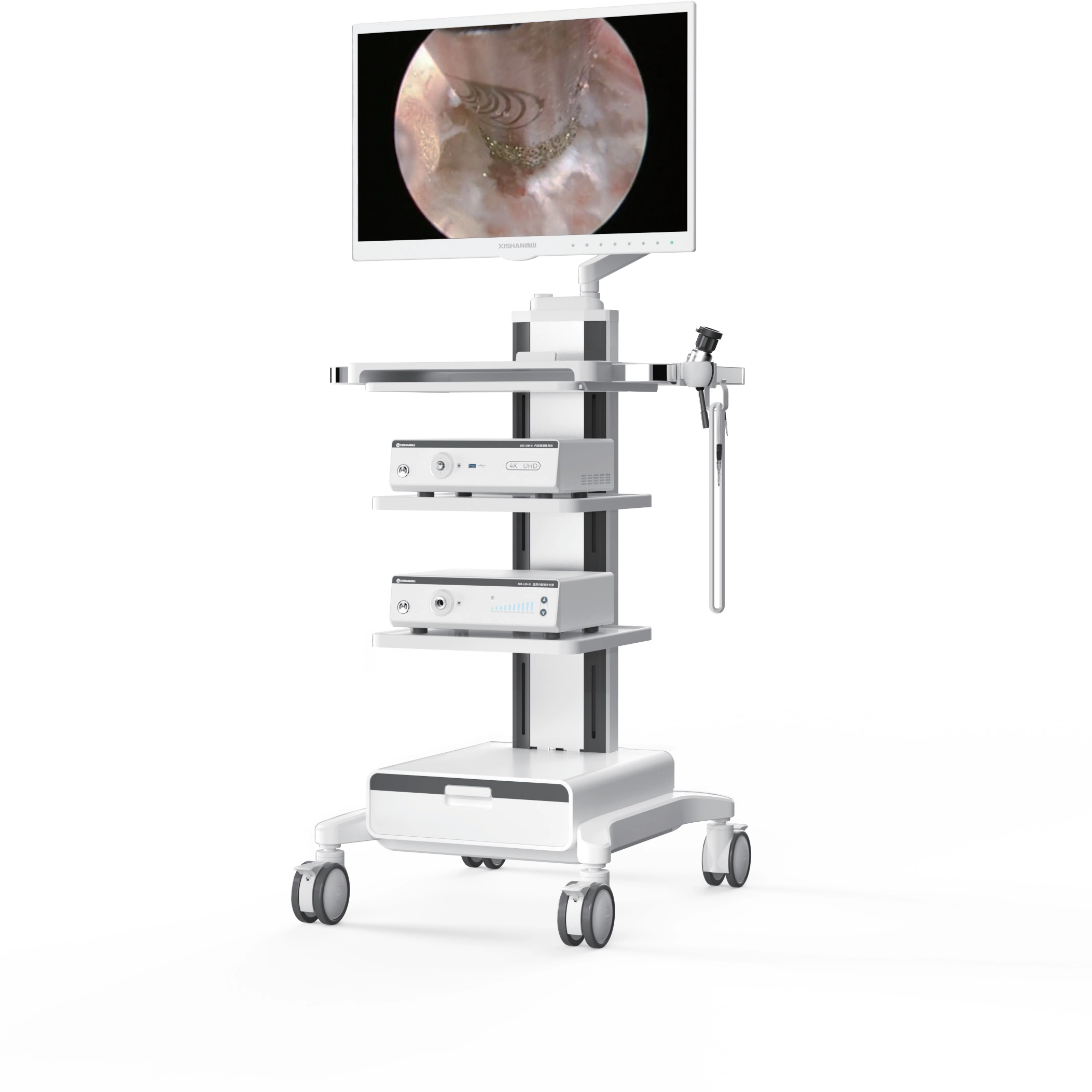 Sistema de endoscopia 4K UHD