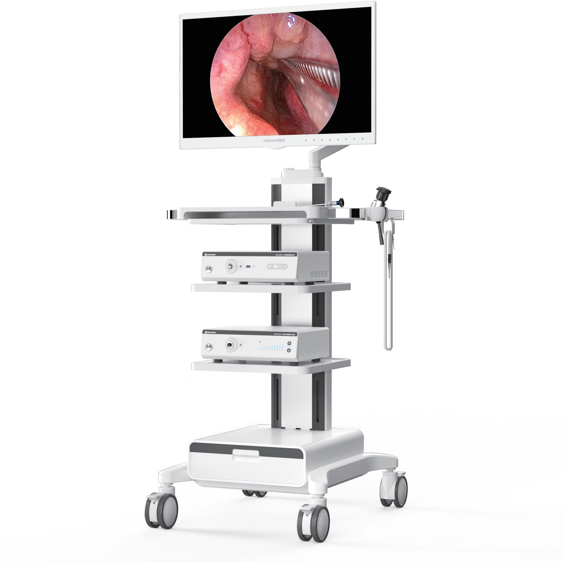 Sistema de endoscopia 4K UHD